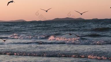 夕阳海面沙滩海浪海鸥升格空镜